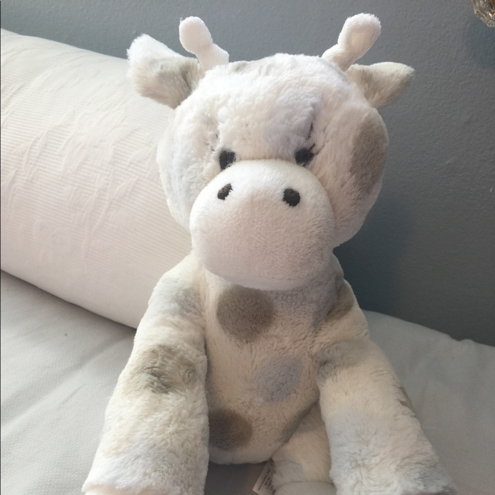 Little giraffe